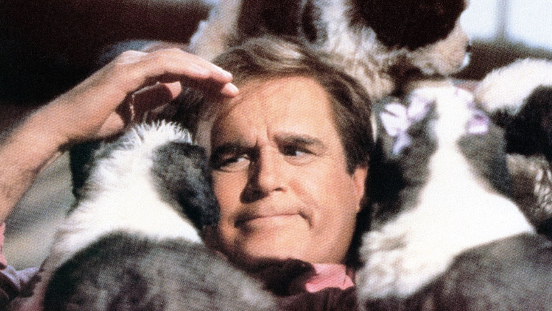 Charles Grodin in "Beethoven's 2nd."