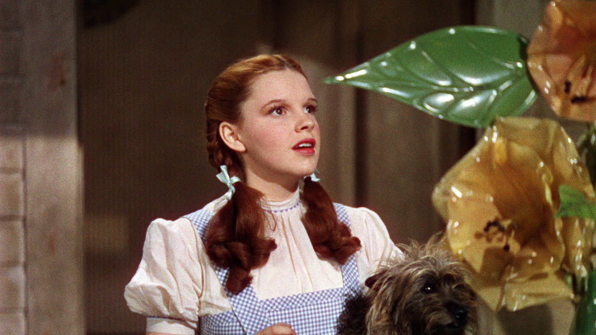 Judy Garland and Toto in "The Wizard of Oz."