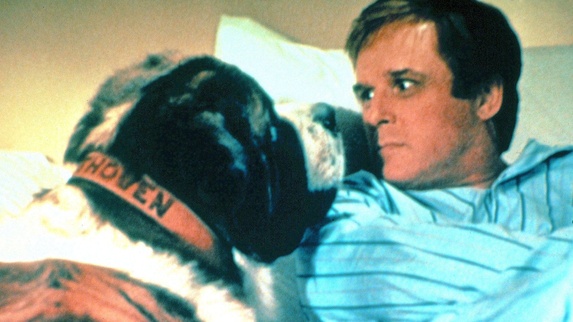Charles Grodin in "Beethoven."
